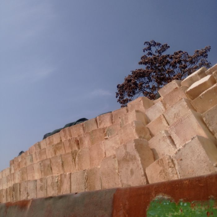 Сифатли Янгиёл гишт