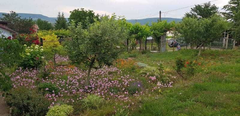 Продава се Къща в с. Кранево, Област Добрич - 50 кв.м за 940 €/кв.м - Снимка #3