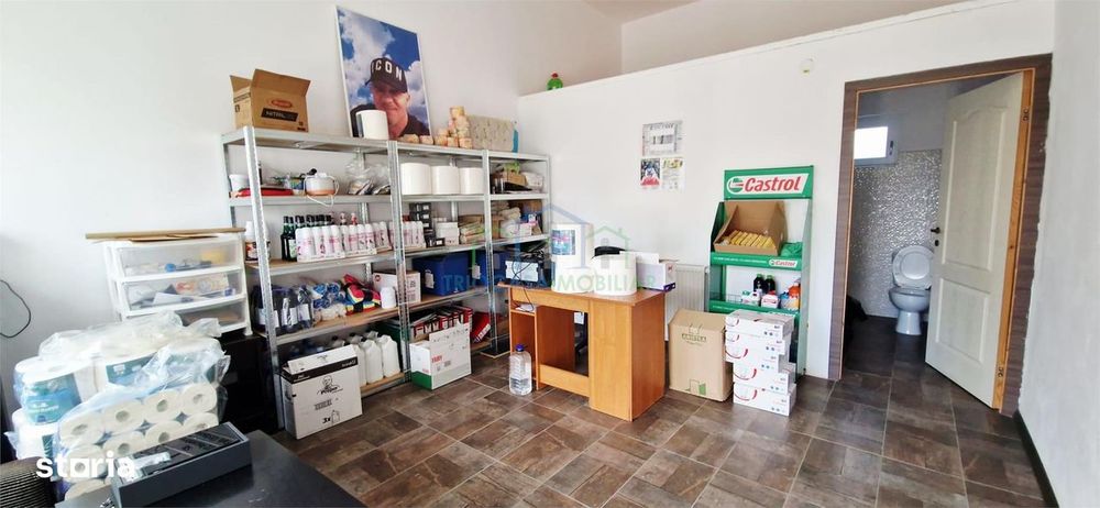 Casa  Vila - Spatiu Comercial Filiasi Vanzare  Chirie