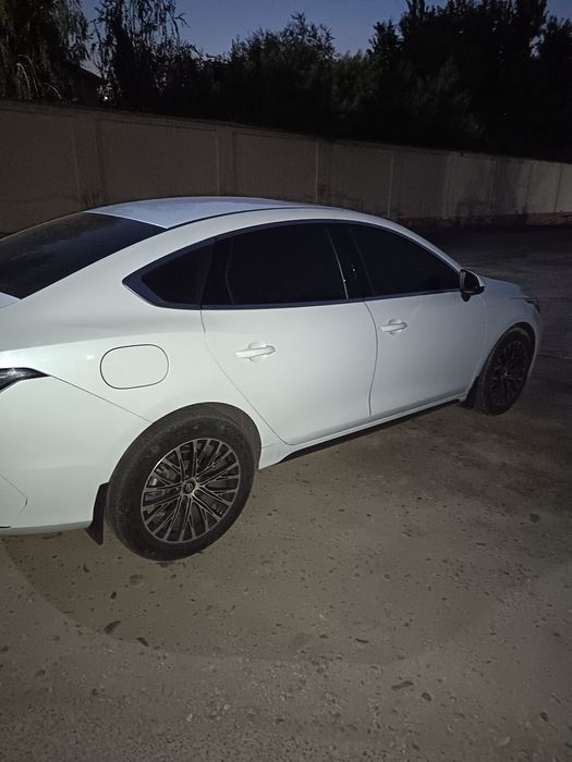 byd chazor GIBRID