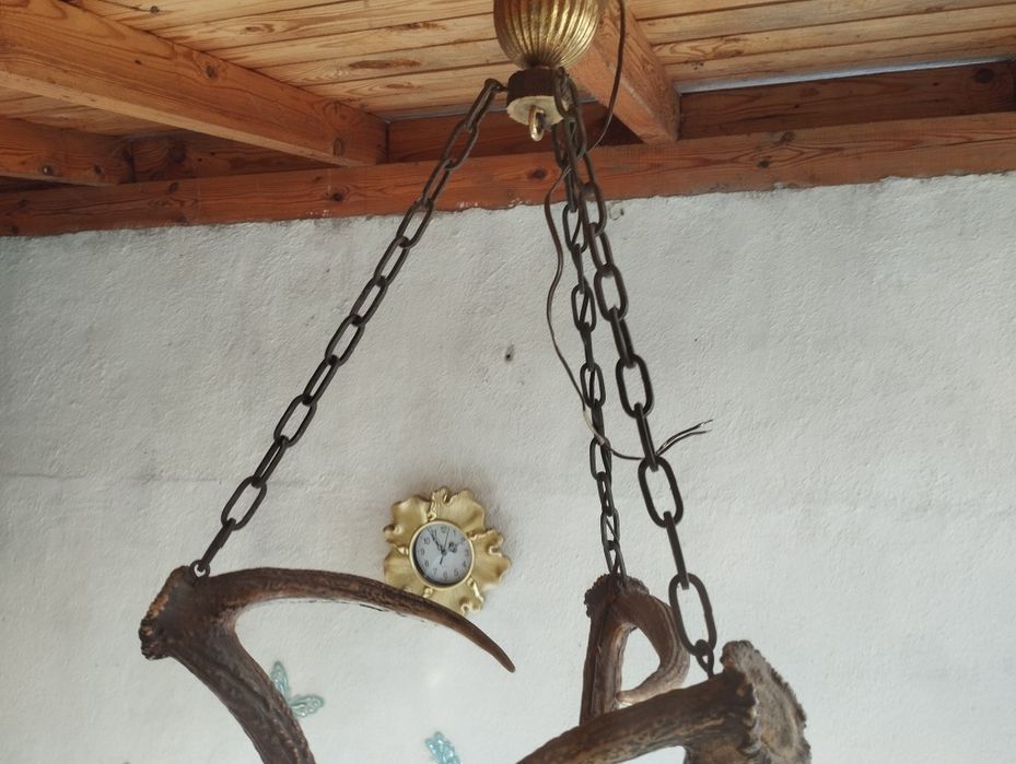 Стар полилей от 3 еленови рога