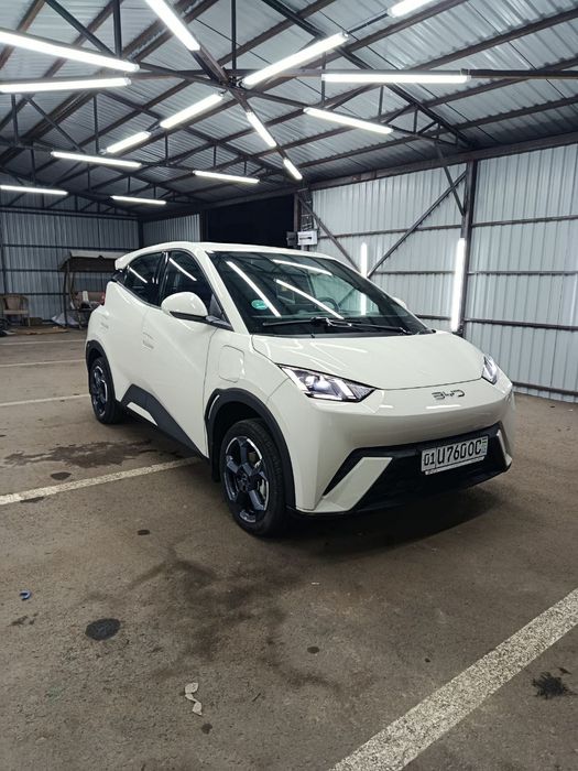 BYD Seagull 2024-25 srochno