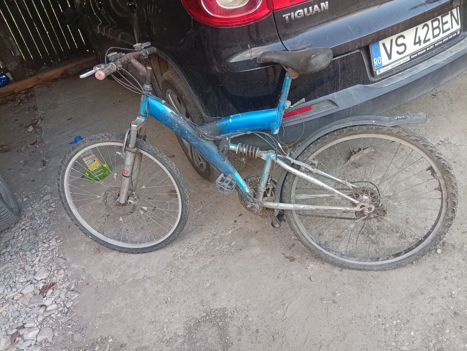 Vând tot ce se vede an i poze urgent