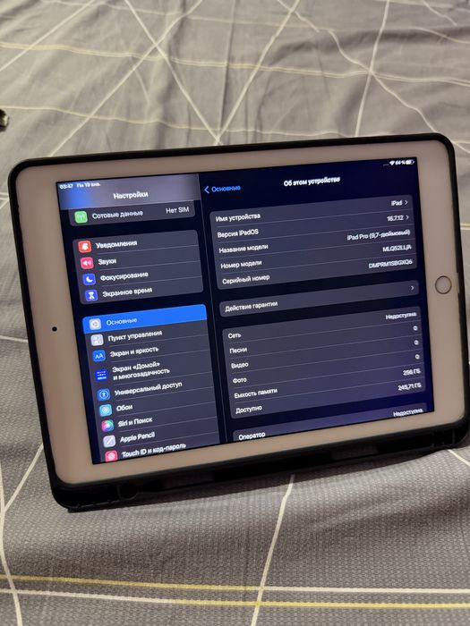 ipad pro / 256gb / sim