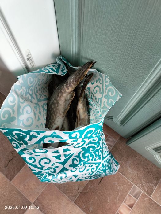 Свежемороженая щука