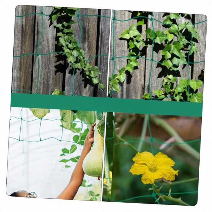 Мрежа за увивни растения и зеленчуци 1.2х20 м, Око 15х17 см – Идеална