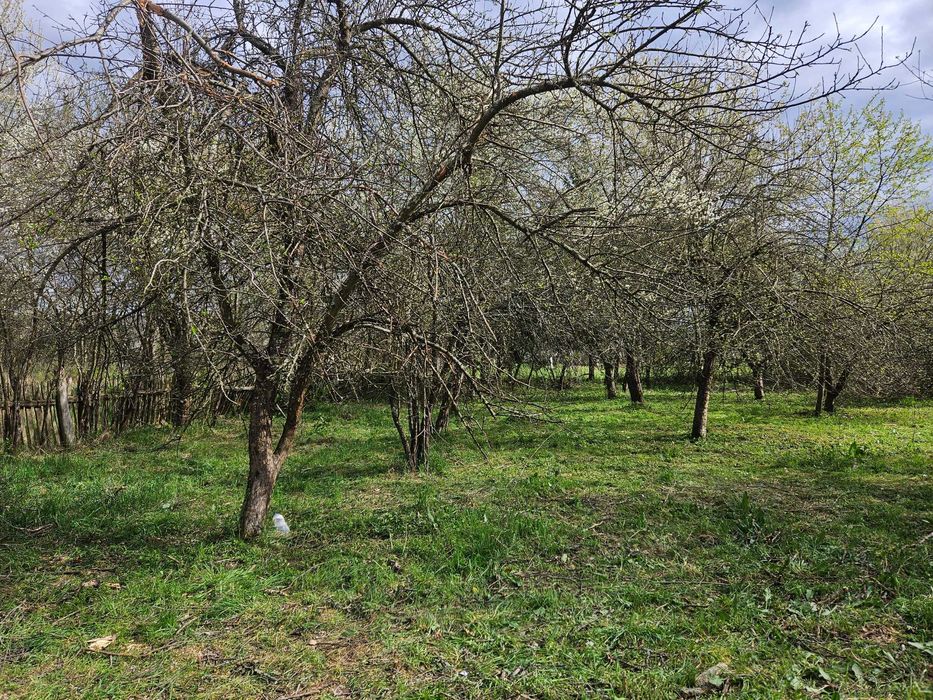 Casă Tradițională din Lemn de Stejar