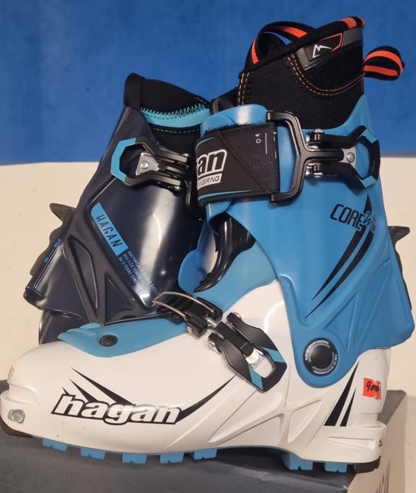 Clapari Movement,Hagan,Roxa, Fischer tură