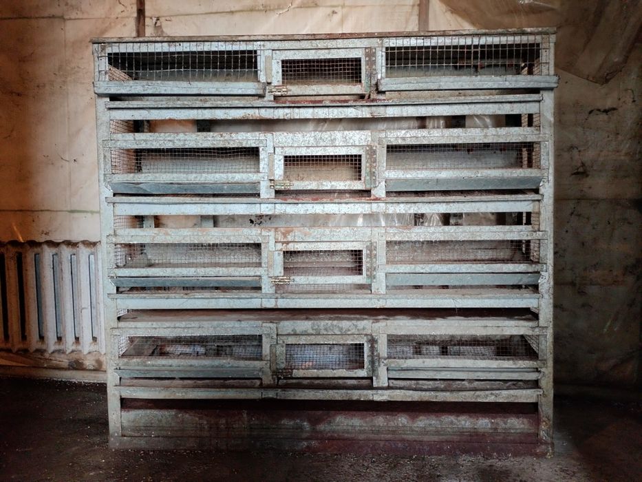 Клетка перепелинная