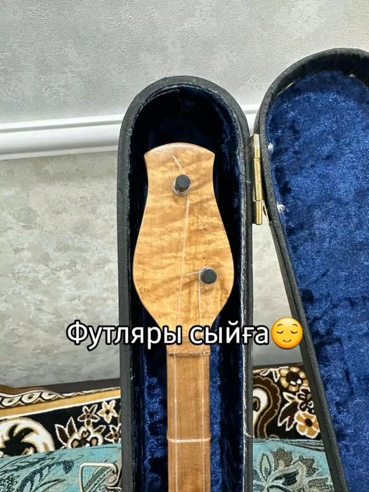 Домбыра проф домбра