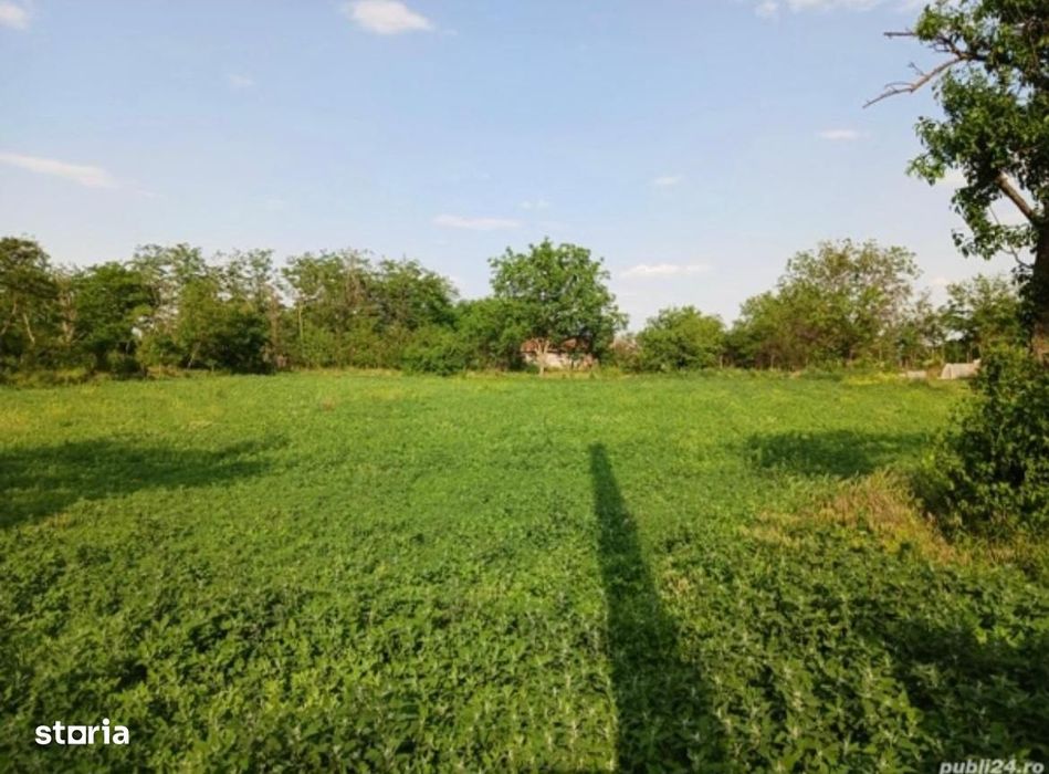 Teren intravilan -posibilitate lotizare , deschidere 50ml !