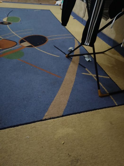 Палас. Ковер. Срочно