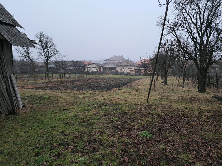 Casa de vanzare in Ibanesti