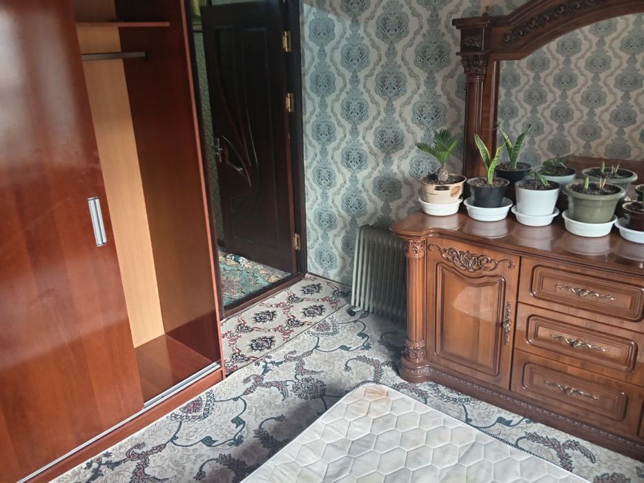 Алгоритм 30.  Замин.  2 х комнатная аренда. Срочно