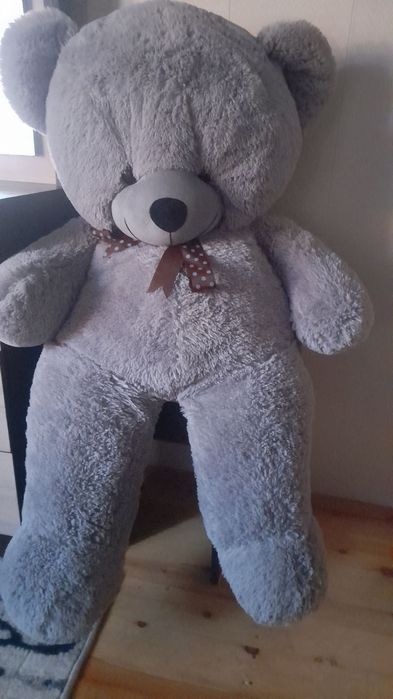 Teddy Ayiqlari sotiladi