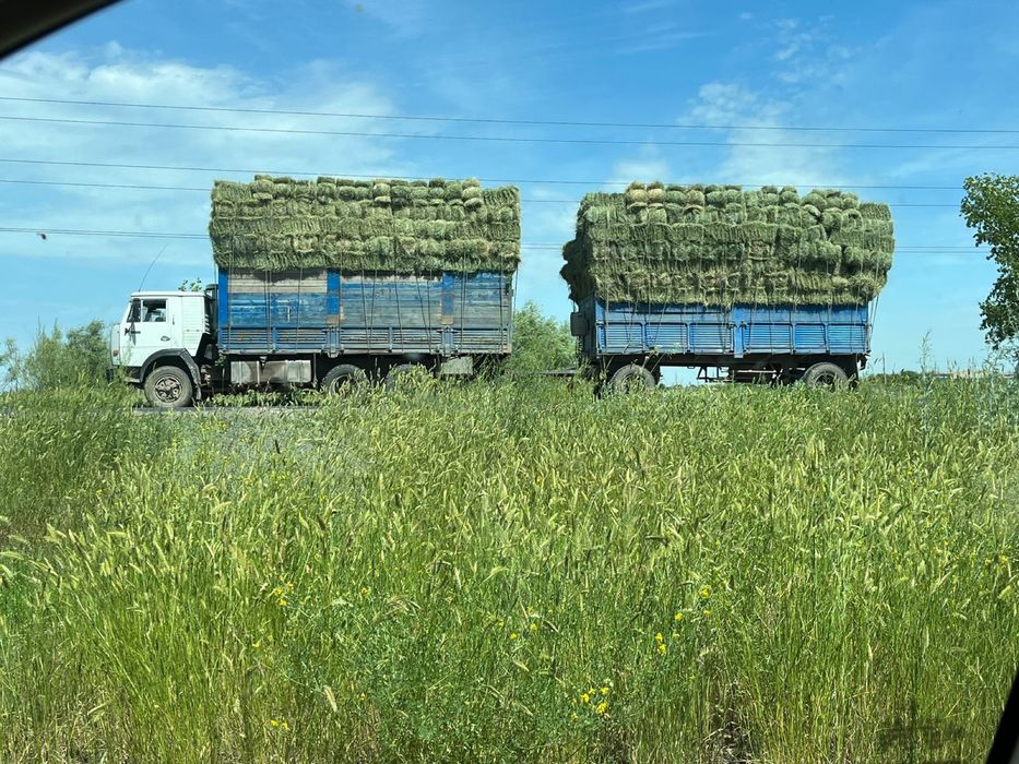 Сено житняк разнотравье