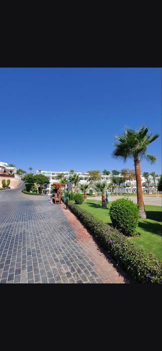 Очки Ray ban hedlainer