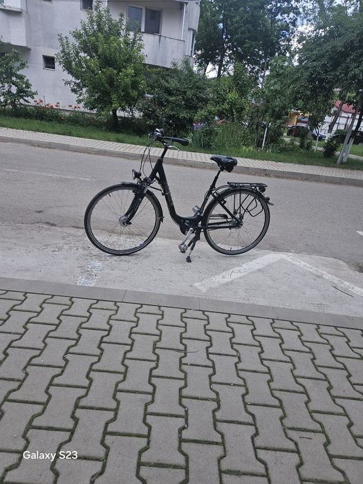 Bicicleta de Dama
