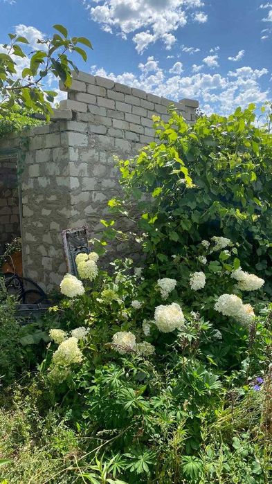 Продам дачу сад "Здоровье"