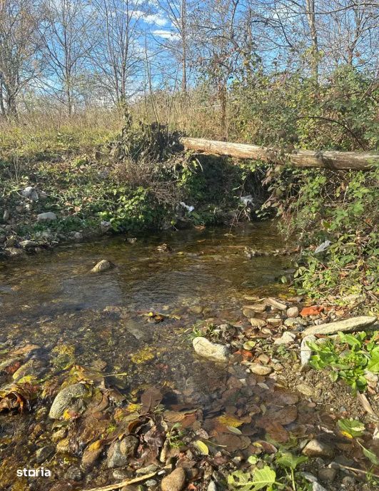 Teren mixt de vanzare Crasna Gorj, aproape de Ranca– 19.209 mp
