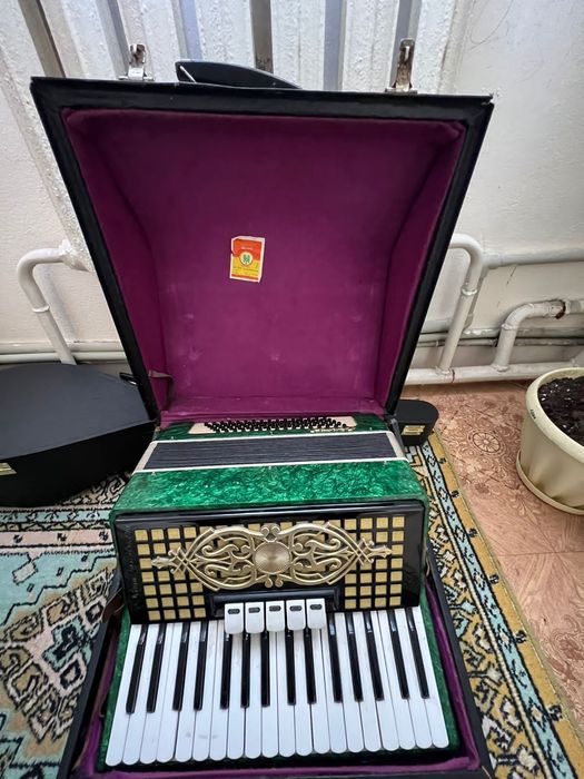 Аккордеон (орион2)