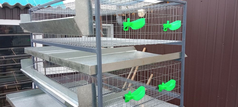 Клетка для перепелов