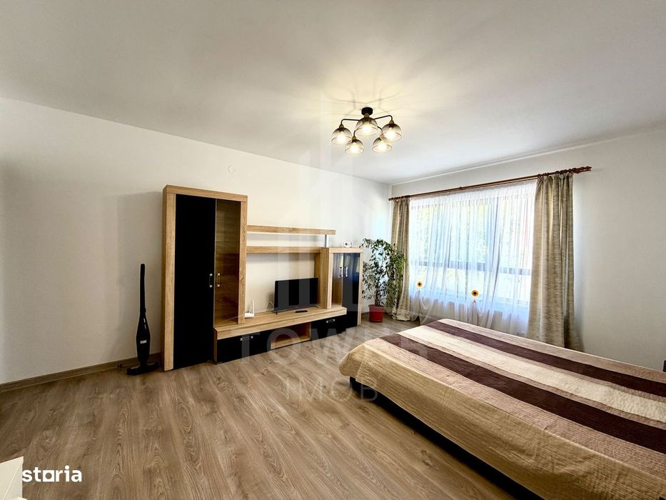 Garsoniera Premium -Pictor Brana