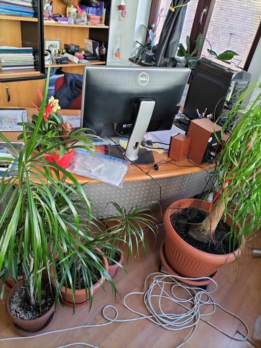 Birou și corp documente