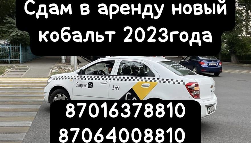 Сдам в аренду кобальт