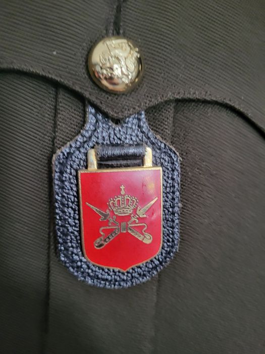 Uniforma armata olanda