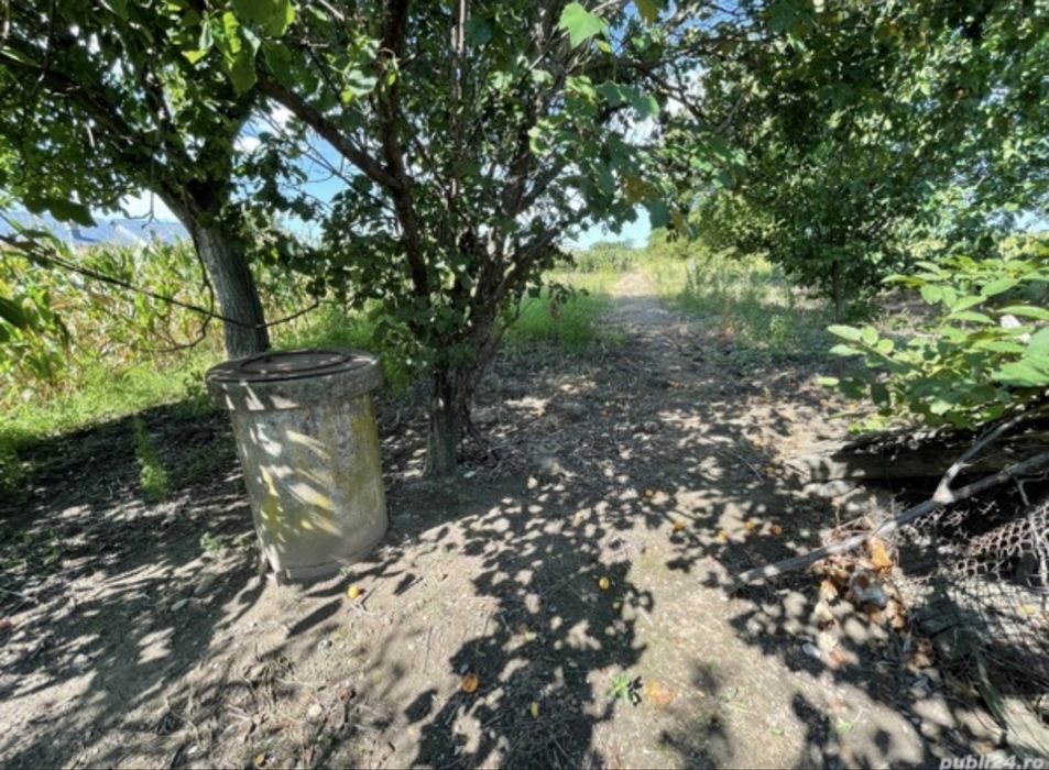 Casa Bals Cartier Vartina