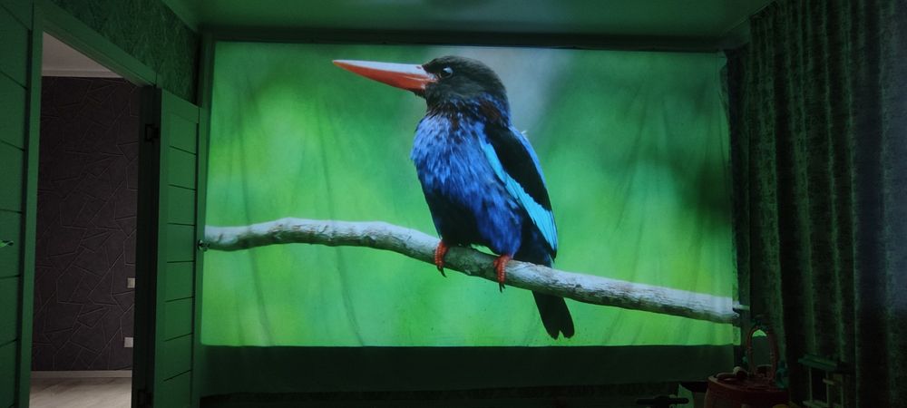 Проектор Eleve 11 P30