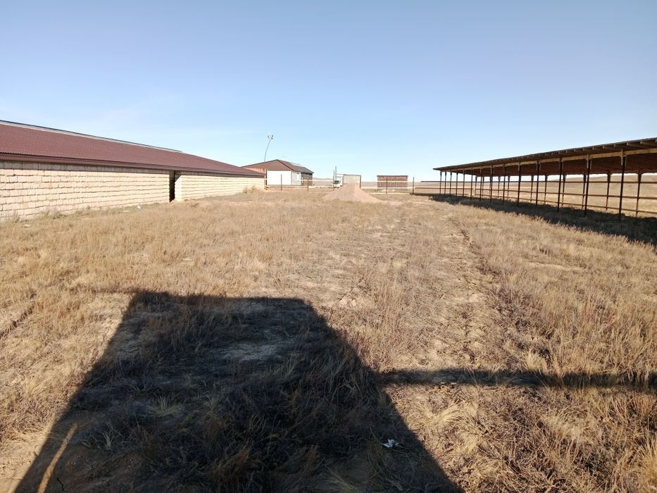 Продам хозяйства зимовка