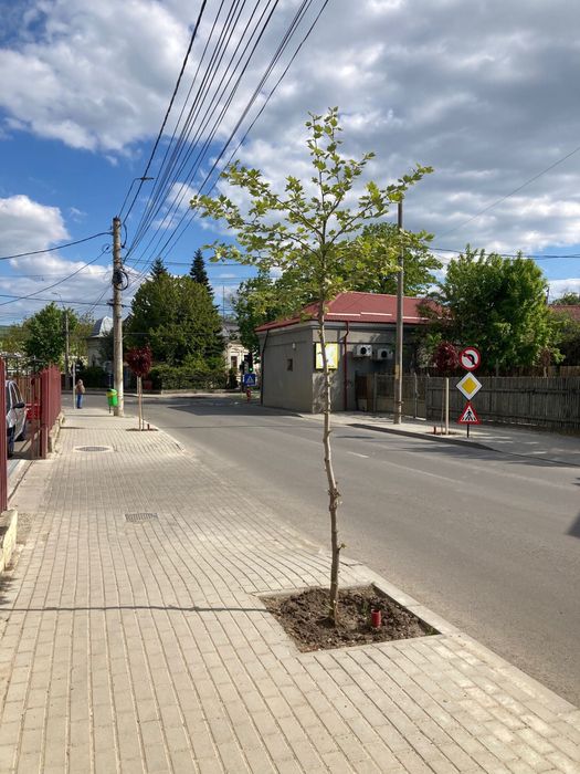 Vând casă zona centrală!