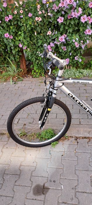 Bicicletea Checker Pig