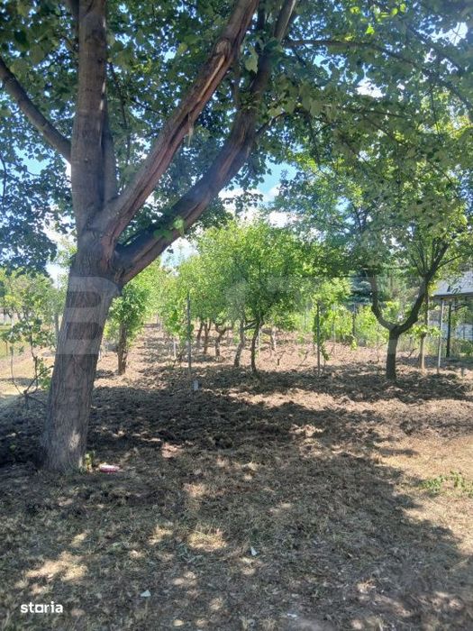 Casa de vanzare 800 mp curte, 32 mp utili, Bratovoesti