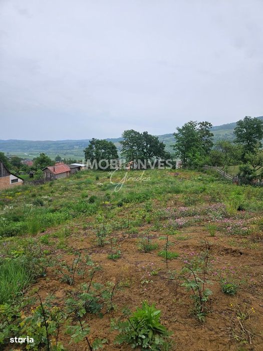 Teren pentru constructie casa P+E+M, 2 parcele, Pianu de Sus