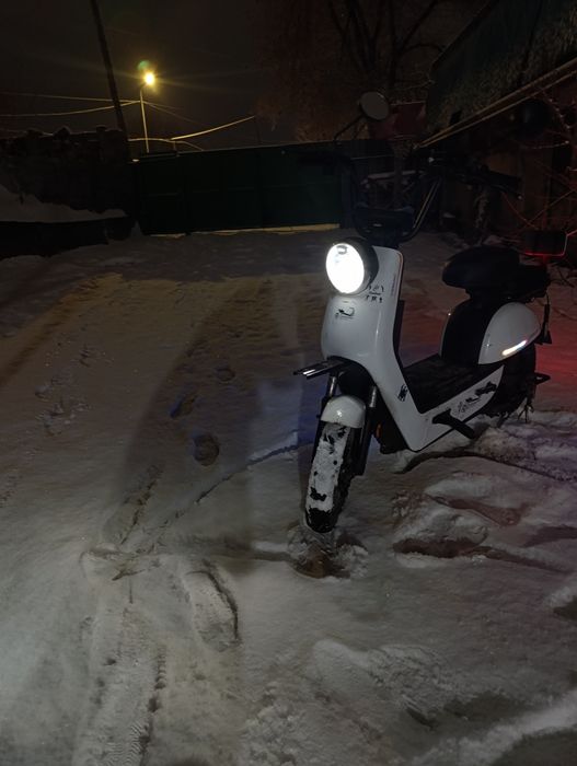 Модель: Caravan.