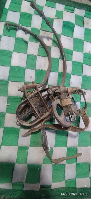 Kagte sotiladi soni 8 juft