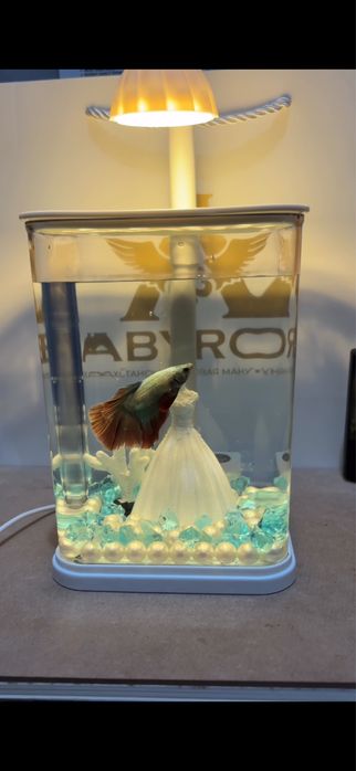 Аквариум + рибки + корм