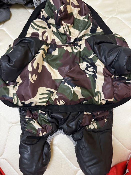 Одежда для собак