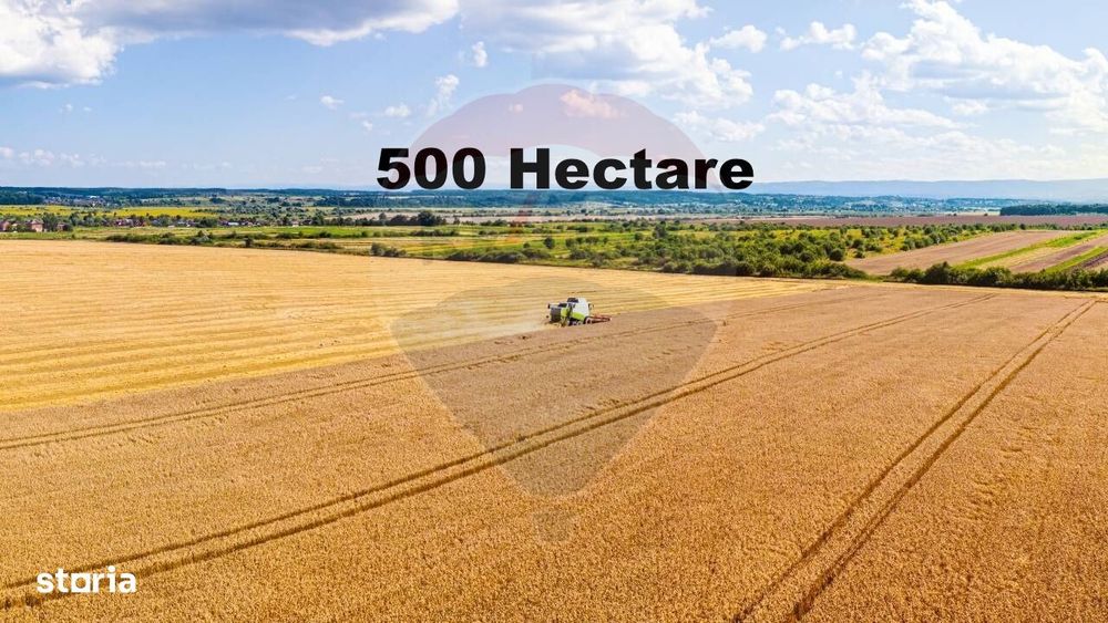 Teren 500 h plus 1000h arenda Vrancea