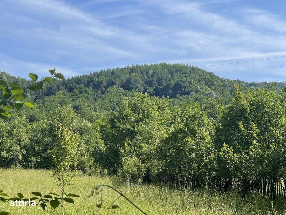 Teren Premium 1559 mp, Brebu Manastirei – Refugiu Montan la 120 km d