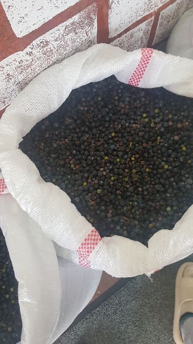 vand boabe de ienupar