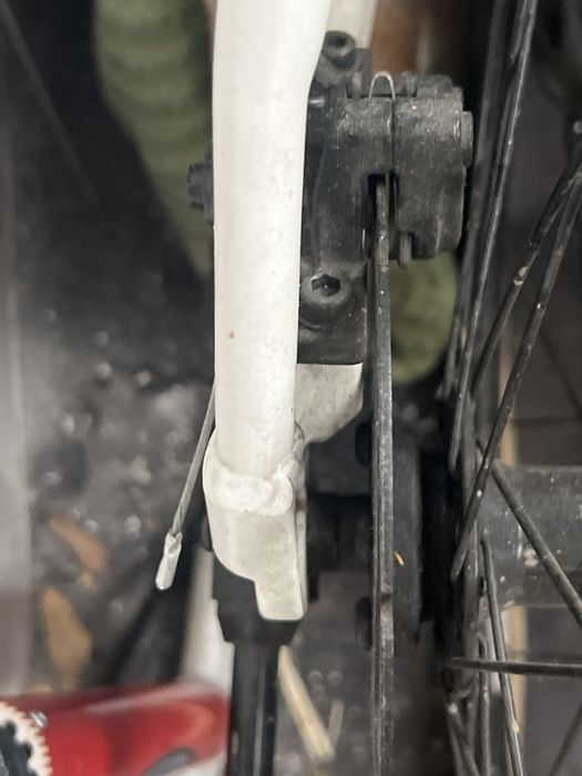 велик в хорошым состаяние