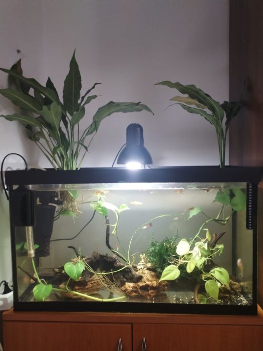Vând acvariul 70-80 litri