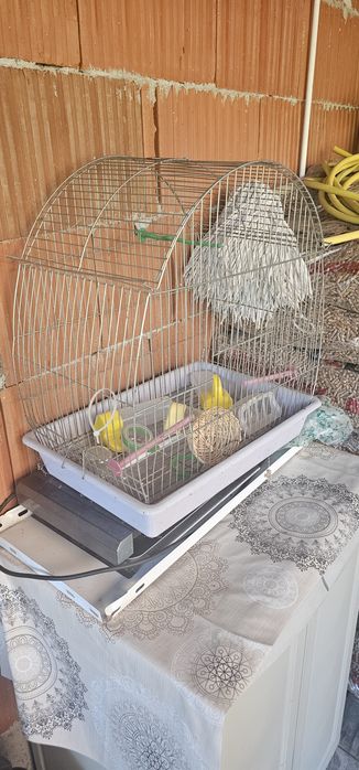 Клетка за папагал