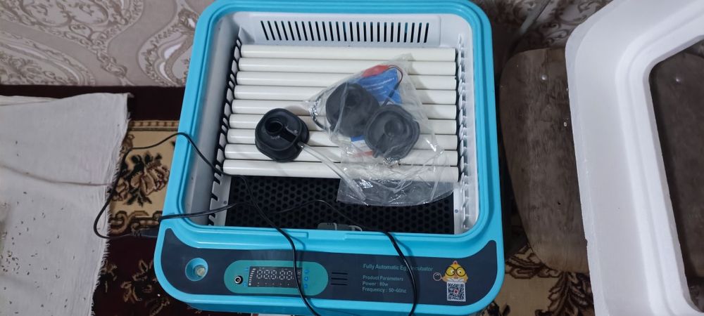 Инкубатор янги сотилади