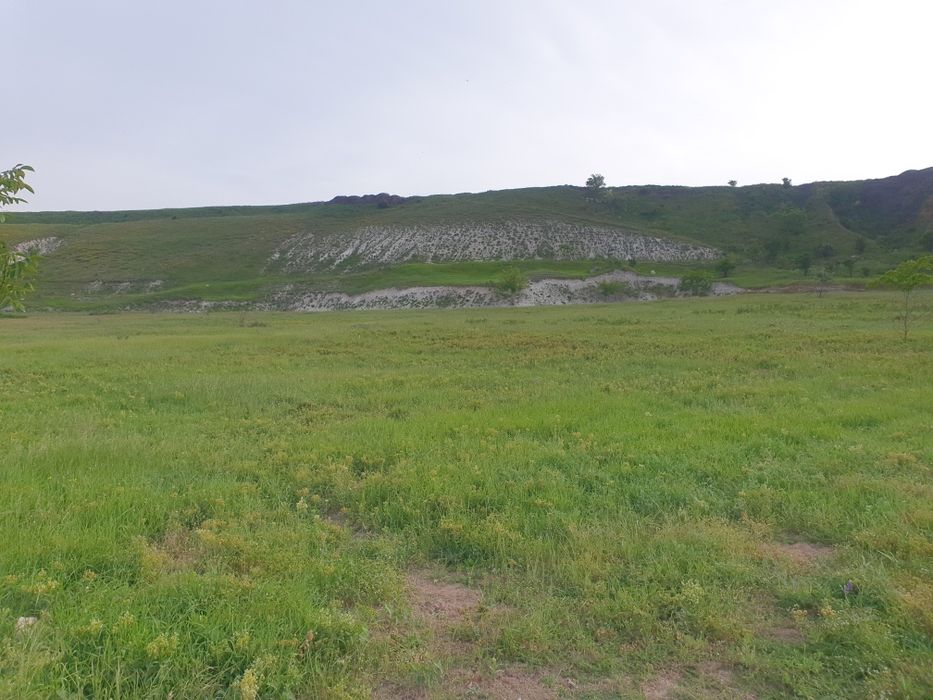 Loturi teren intravilan Valu lui Traian 449mp!