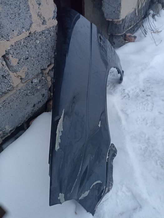 Левое крыло приора